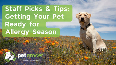 Staff Picks to Get Your Pet Ready for Allergy Season