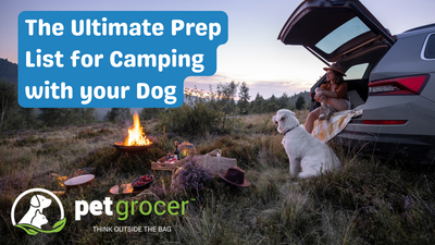 The Ultimate List for Camping with Your Dog
