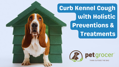 Curb Kennel Cough with Holistic Preventions & Treatments