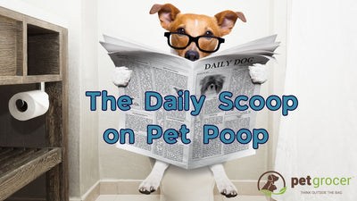 The Daily Scoop on Pet Poop