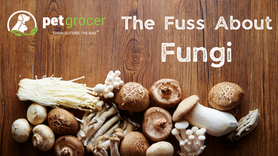 The Fuss About Fungi