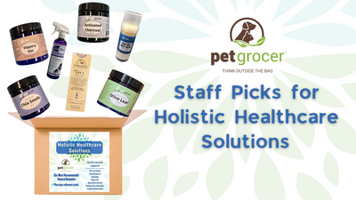 Our Staffs' Product Picks for Holistic Healthcare Solutions