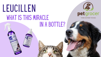 Leucillen - What is this miracle in a bottle?