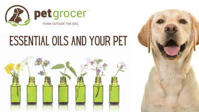 Essential Oils and Your Pet - Can you use them with cats and dogs?