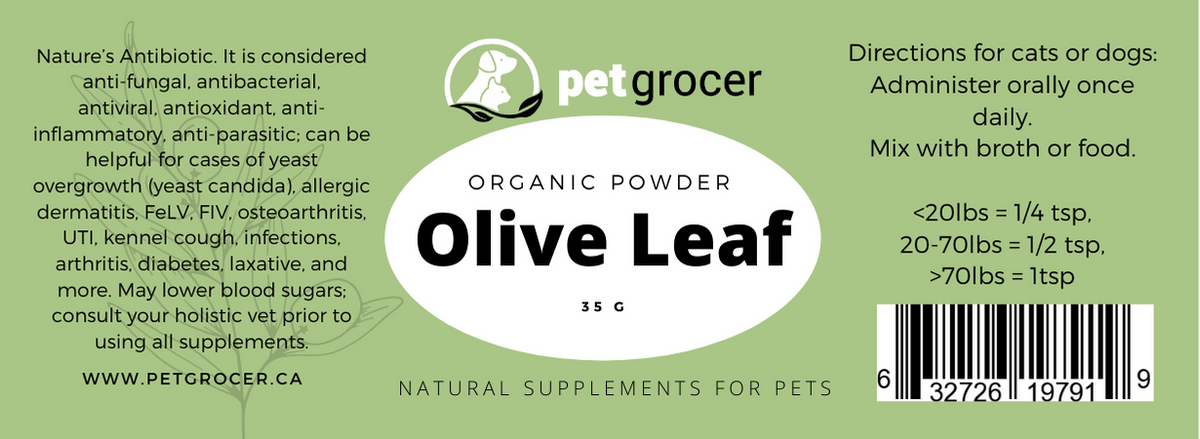 Olive leaf 2024 extract for dogs