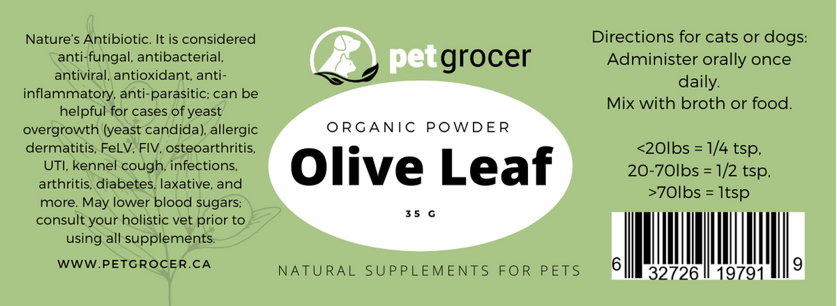 Olive leaf extract for sales cats