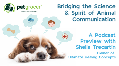 Bridging the Science & Spirit of Animal Communication - A Podcast Preview