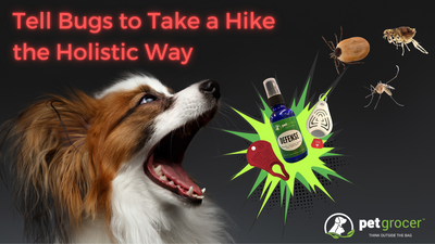 Tell Bugs to Take a Hike the Holistic Way