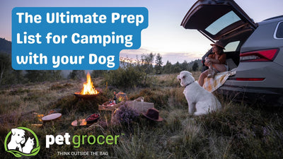 The Ultimate List for Camping with Your Dog