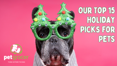 Top 15 Holiday Picks for Pets at Pet Grocer