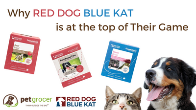 Why Red Dog Blue Kat is at the Top of Their Game
