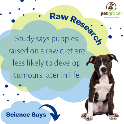Raw Science - Raw Feeding Shows Drop in Tumors