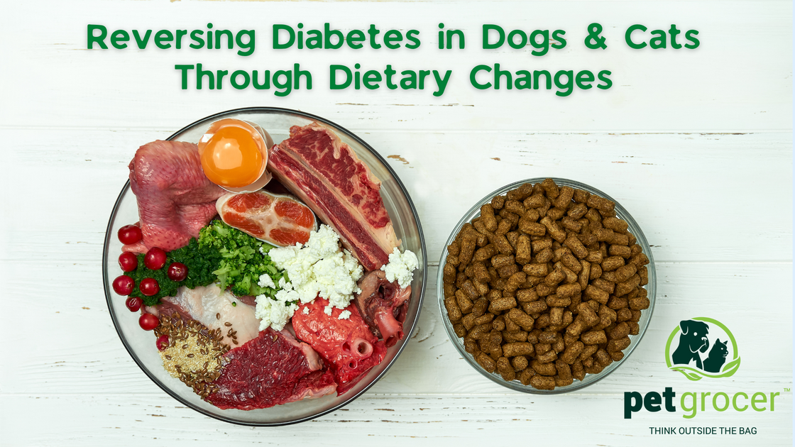 Amazing Can You Reverse Diabetes In Dogs Landscape in HD Amazing Can You Reverse Diabetes In Dogs Landscape in HD