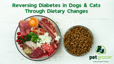 Reversing Diabetes in Dogs and Cats Through Dietary Changes