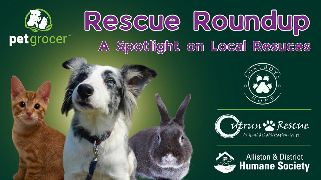 Rescue Roundup - A Spotlight on Local Rescues – Pet Grocer Inc.