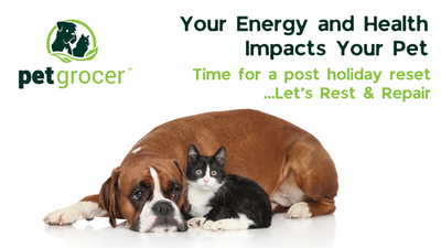 Your Energy & Health Impacts Your Pet - Time for a Post Holiday Reset...Let's Rest & Repair