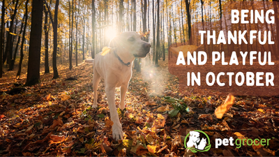 Being Thankful & Playful in October