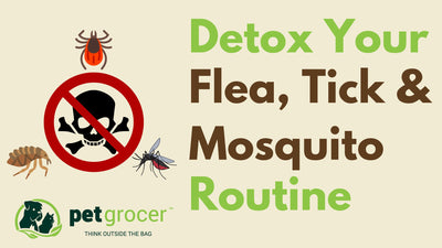 Detox Your Pet’s Flea & Tick Prevention