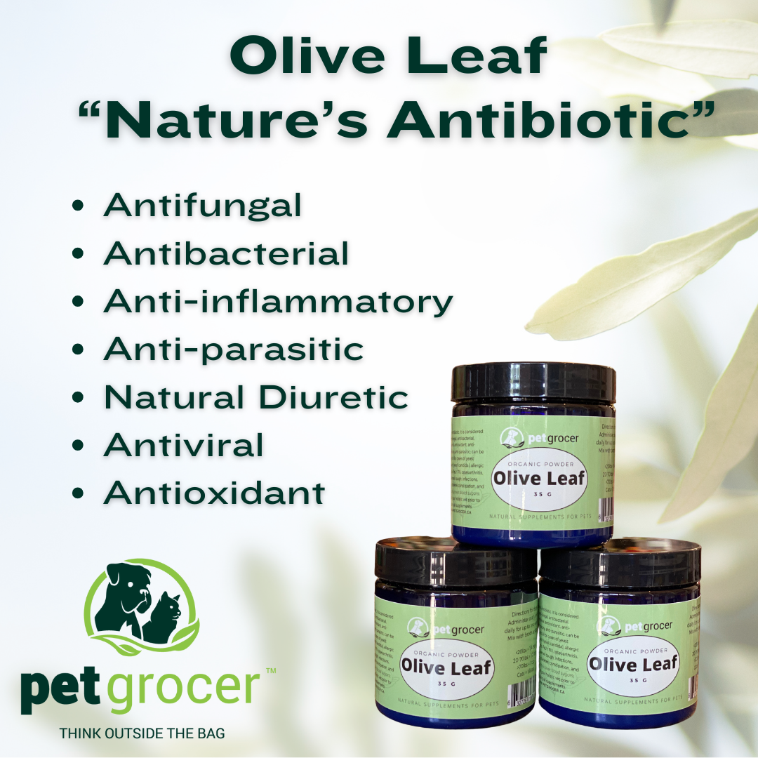 Pet Grocer - Olive Leaf Powder, Organic – Pet Grocer Inc.